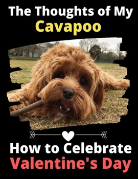 The Thoughts of My Cavapoo: How to Celebrate Valentine's Day