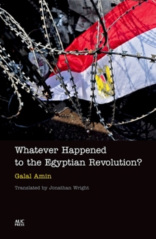 Hardcover Whatever Happened to the Egyptian Revolution? Book