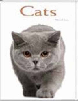 Hardcover Cats: Pocket Book