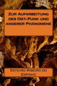 Paperback Zur Aufarbeitung des Ost-Punk und anderer Phänomene [German] Book
