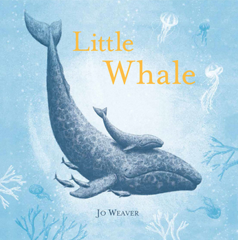 Hardcover Little Whale Book