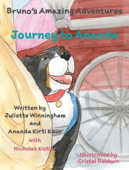 Hardcover Journey to Ananda Book