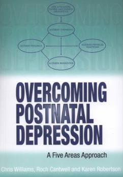 Paperback Overcoming Postnatal Depression a Five Areas Approach Book