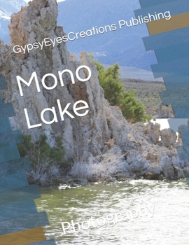 Paperback Mono Lake: Photography Book