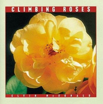 Hardcover Climbing Roses Book