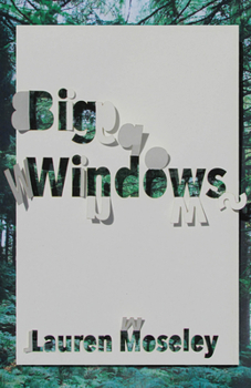 Paperback Big Windows Book