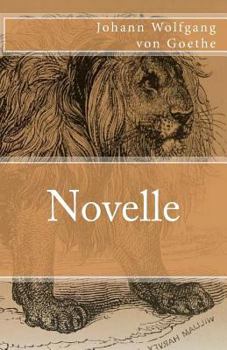 Paperback Novelle [German] Book