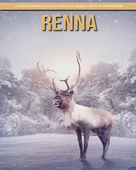 Renna: la guida essenziale a questo fantastico animale con foto straordinarie