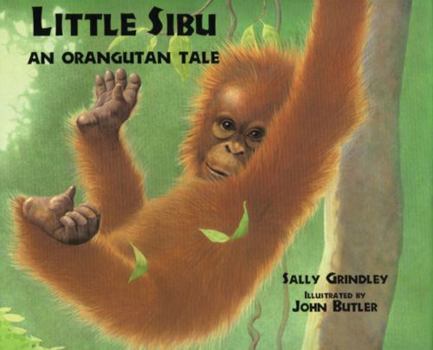 Hardcover Little Sibu: An Orangutan Tale Book