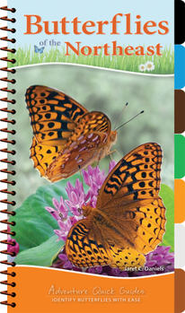 Butterflies of the Northeast: Identify Butterflies with Ease - Book  of the Adventure Quick Guides