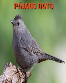 Paperback P?jaro gato: Im?genes asombrosas y datos curiosos [Spanish] Book
