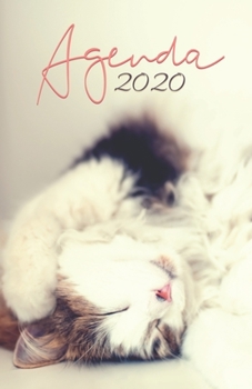 Agenda 2020: 12 mois de Janvier à Décembre 2020 | Planificateur, organisateur, semainier | Photo de chaton 1 (French Edition)