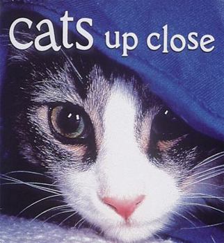 Hardcover Cats Up Close Book