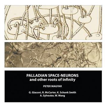 Paperback Palladian Space-Neurons and other Roots of Infinity Book