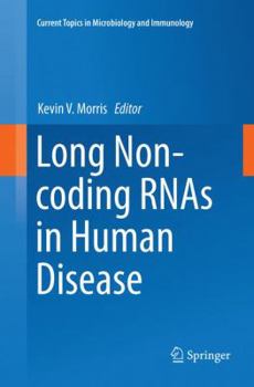 Paperback Long Non-Coding Rnas in Human Disease Book