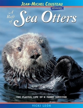 Paperback A Raft of Sea Otters: The Playful Life of a Furry Survivor Book