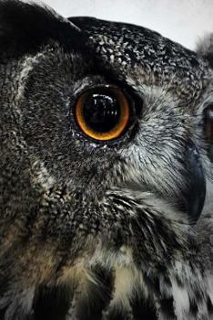 Paperback Bird of Prey Notebook Book