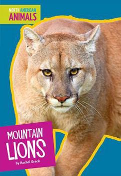 Library Binding Mountain Lions Book