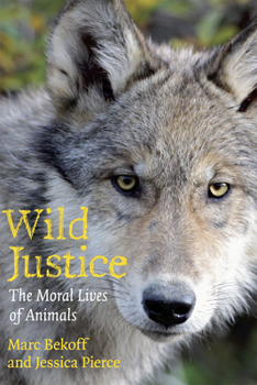 Paperback Wild Justice: The Moral Lives of Animals Book
