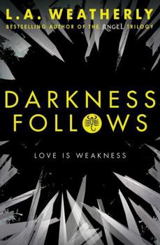 Paperback Darkness Follows Book