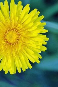 Paperback Dandelion Notebook Book