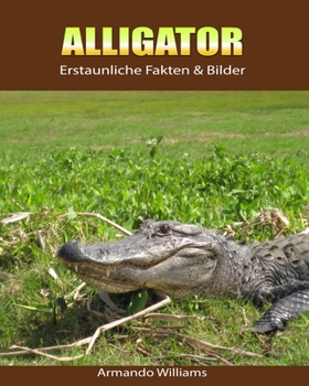 Paperback Alligator: Erstaunliche Fakten & Bilder [German] Book