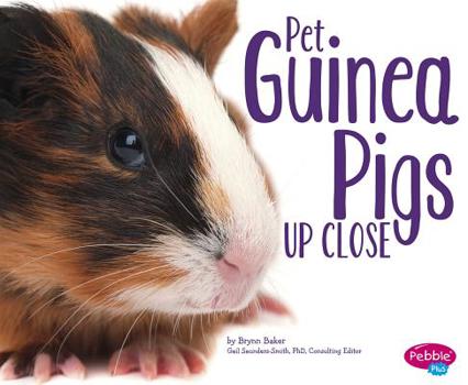 Hardcover Pet Guinea Pigs Up Close Book