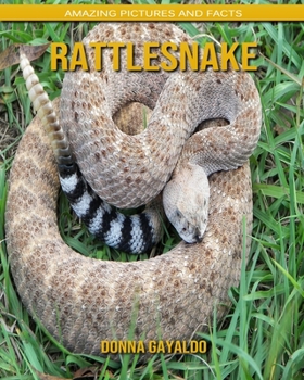 Paperback Rattlesnake: Amazing Pictures and Facts Book