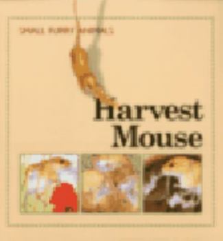 Harvest Mouse - Book  of the Small Furry Animals