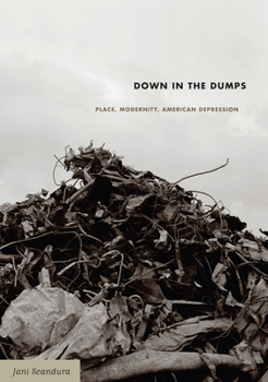 Hardcover Down in the Dumps: Place, Modernity, American Depression Book