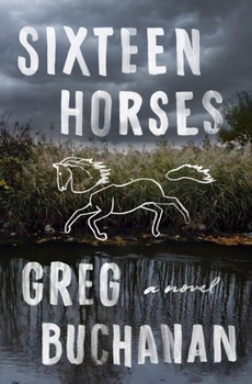 Hardcover Sixteen Horses Book
