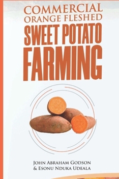 Commercial Orange Fleshed Sweet Potato Farming