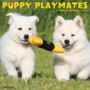 Calendar Puppy Playmates 2021 Wall Calendar Book