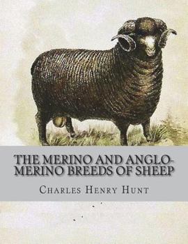 The Merino and Anglo-Merino Breeds of Sheep