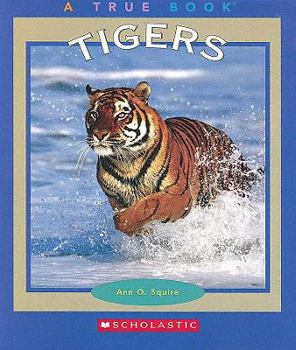 Library Binding Tigers Book