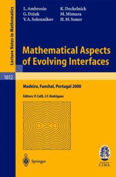 Mathematical Aspects of Evolving Interfaces (Lecture Notes Series)