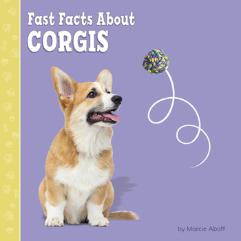 Hardcover Fast Facts about Corgis Book