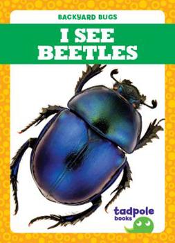 Library Binding I See Beetles Book