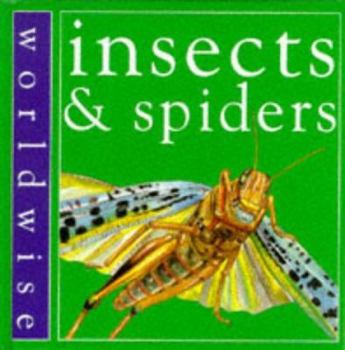 Hardcover Insects and Spiders (Worldwise) Book