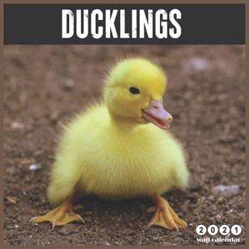 Ducklings 2021 Wall Calendar: 18 Months Wall Calendar 2021, baby Ducks 2021