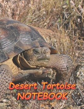 Desert Tortoise NOTEBOOK: Notebooks and Journals 110 pages (8.5"x11")