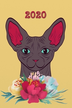 2020: Katze - Sphynx-Katze - Nacktkatze -  Kalender - Wochenkalender - Zielsetzung - Zeitmanagement - Produktivität - Terminplaner - Terminkalender ... für Notizen und Skizzen (German Edition)