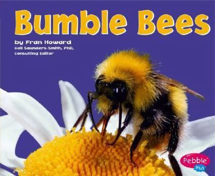 Bumblebees - Book  of the Bugs, Bugs, Bugs!