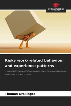 Paperback Risky work-related behaviour and experience patterns Book