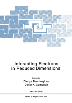 Interacting Electrons in Reduced Dimensions (NATO Science Series: B:)