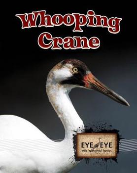 Hardcover Whooping Cranes (Eye to Eye with Endangered Species) Book