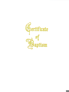 Misc. Supplies Traditional Steel-Engraved Adult/Youth Baptism Certificate (Pkg of 3) Book