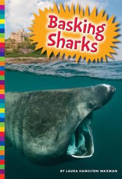 Basking Sharks - Book  of the Sharks