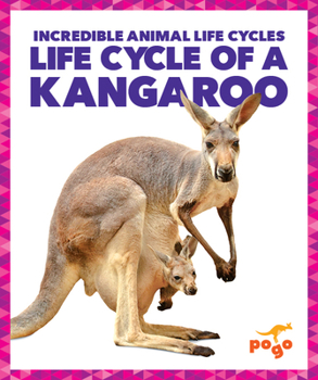 Paperback Life Cycle of a Kangaroo Book