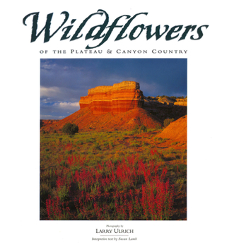 Paperback Wildflowers of the Plateau & Canyon Country Book